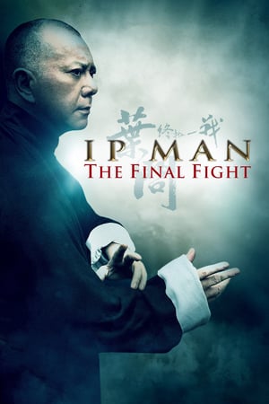 Ip Man: Son Dövüş izle