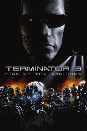 Terminatör 3: Makinelerin Yükselişi izle